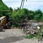 Inundaciones, apagones, caída de árboles, palmeras, techos…, lo que dejó ‘Dalila’ en Guerrero