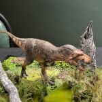 Museo del Desierto presentará nueva especie de reptil marino descubierta en Coahuila