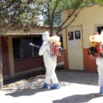 Coahuila refuerza acciones contra rickettsia con campaña de descacharrización y control de garrapatas