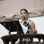 Protección a los adultos mayores de abusos y despojo de pensiones: Edith Hernández