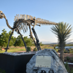 Este verano Coahuila te sorprende con sus 8 pueblos mágicos