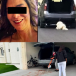 Vinculan a proceso a mujer acusada de crueldad animal; seguirá en prisión preventiva