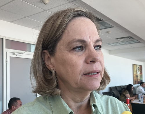 Llaman a reducir velocidad en carreteras por migración de mariposa monarca
